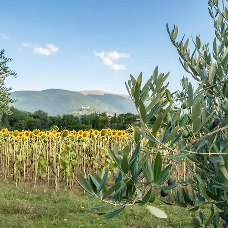 Апартаменты Dionigi Ассизи