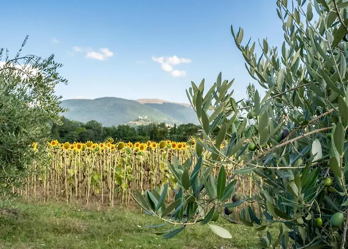 Appartement Dionigi Assise